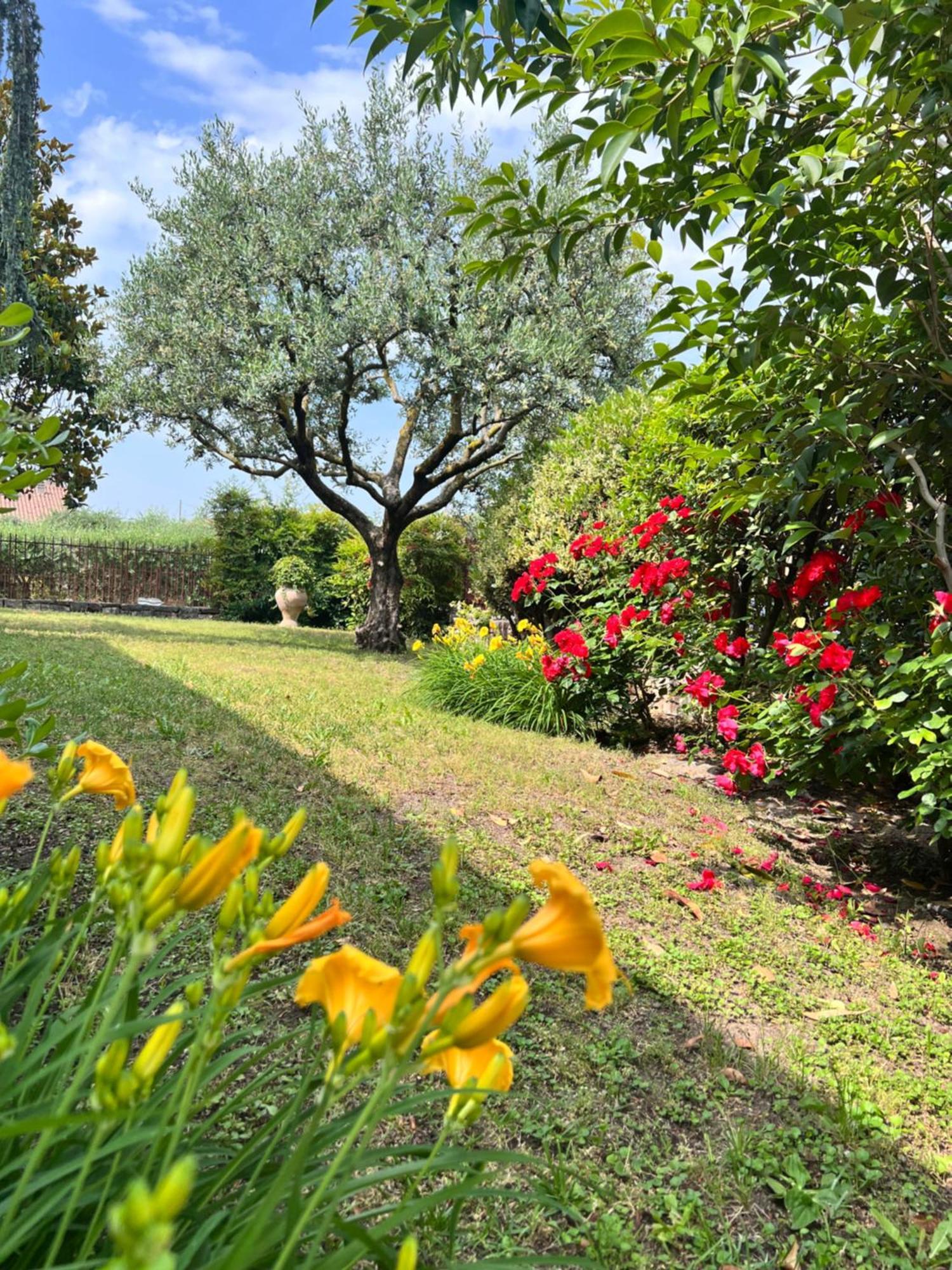 Residenza Borgo San Rocco Bed & Breakfast Sant'Ambrogio di Valpolicella Bagian luar foto
